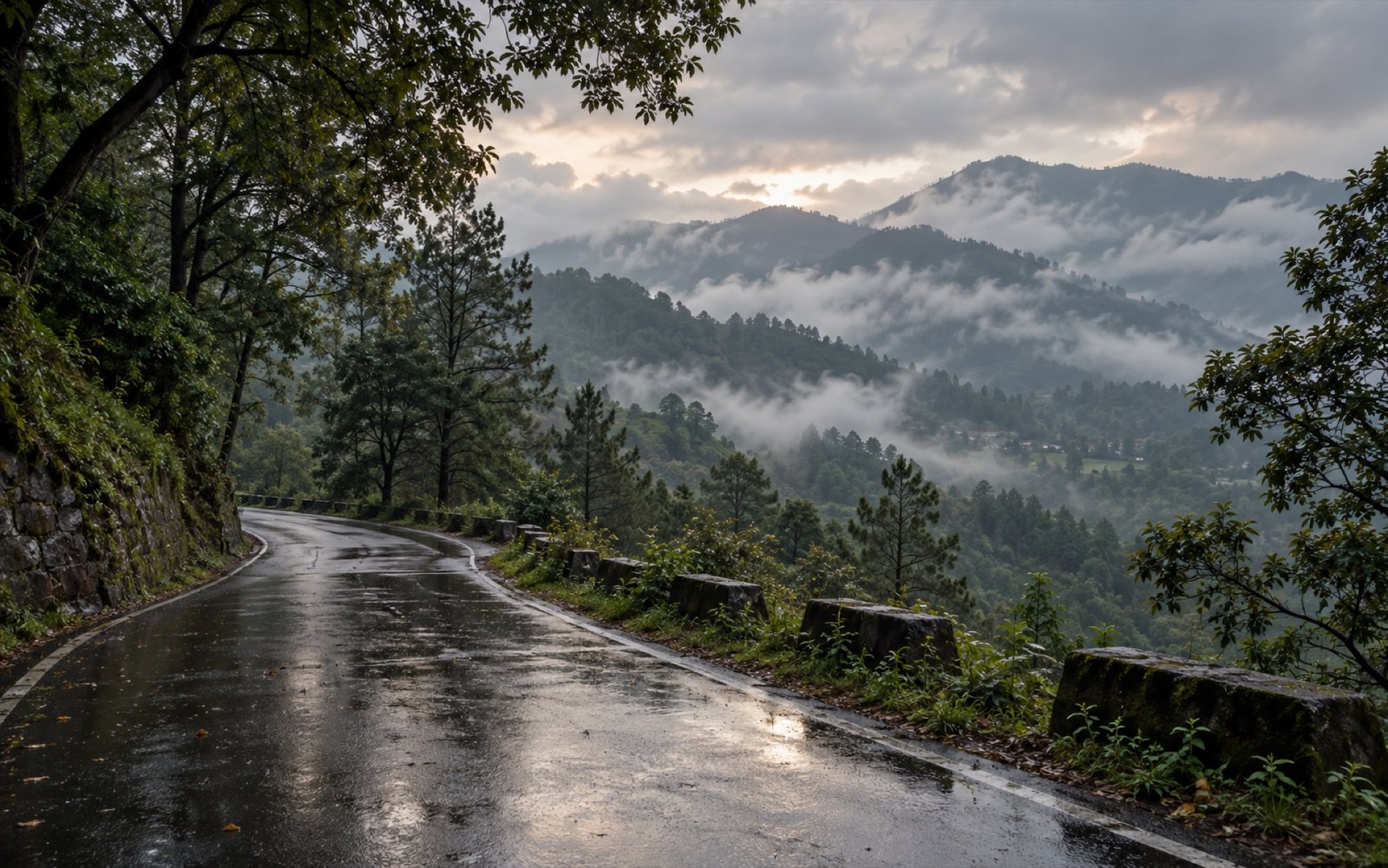 Misty forested hills near Dehradun after rain